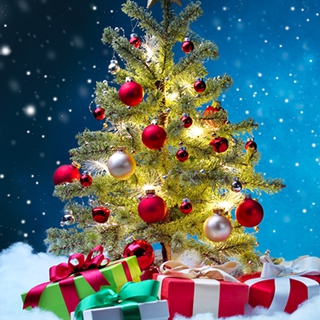 クリスマスパーティー！