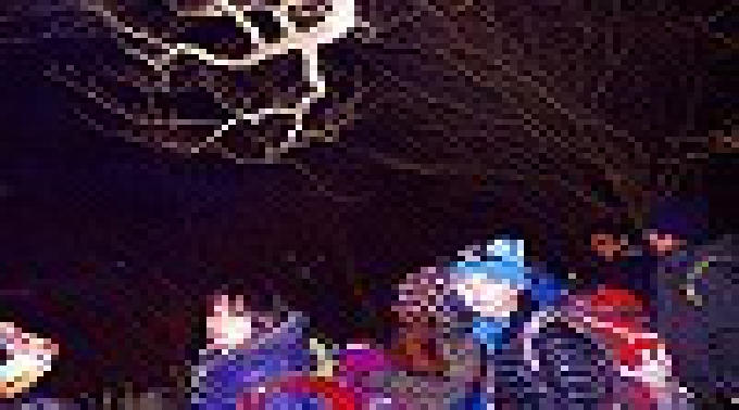 【スペシャルイベント★天体観測ナイトトレッキングin富士山】社会人サークルFEAD