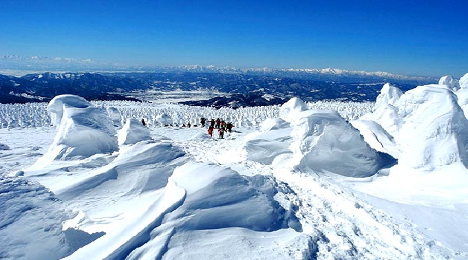  小国町観光協会 残雪の白い森をマタギとハイキング！