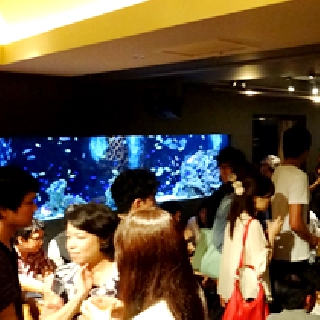 汐留クリスマス交流会200名 : 写真