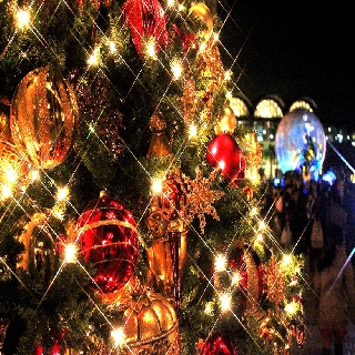 クリスマスパーティーNewLex : 写真