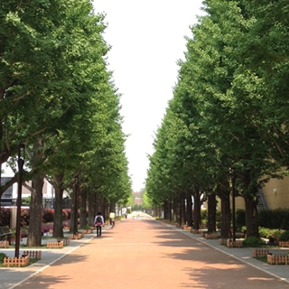 焚き火フェス2014！150名！ : 写真